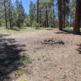 Review photo of Forest Service Rd #205/225 Upper Dispersed Camping by Greg L., September 21, 2021