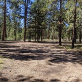 Review photo of Forest Service Rd #205/225 Upper Dispersed Camping by Greg L., September 21, 2021