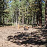 Review photo of Forest Service Rd #205/225 Upper Dispersed Camping by Greg L., September 21, 2021