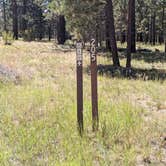 Review photo of Forest Service Rd #205/225 Upper Dispersed Camping by Greg L., September 21, 2021