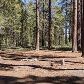 Review photo of Forest Service Rd #205/225 Upper Dispersed Camping by Greg L., September 21, 2021