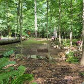 Review photo of Lake In Wood Resort by Jen R., September 21, 2021