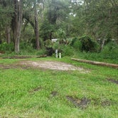 Review photo of Hillsborough River State Park Campground by Skooma M., September 21, 2021