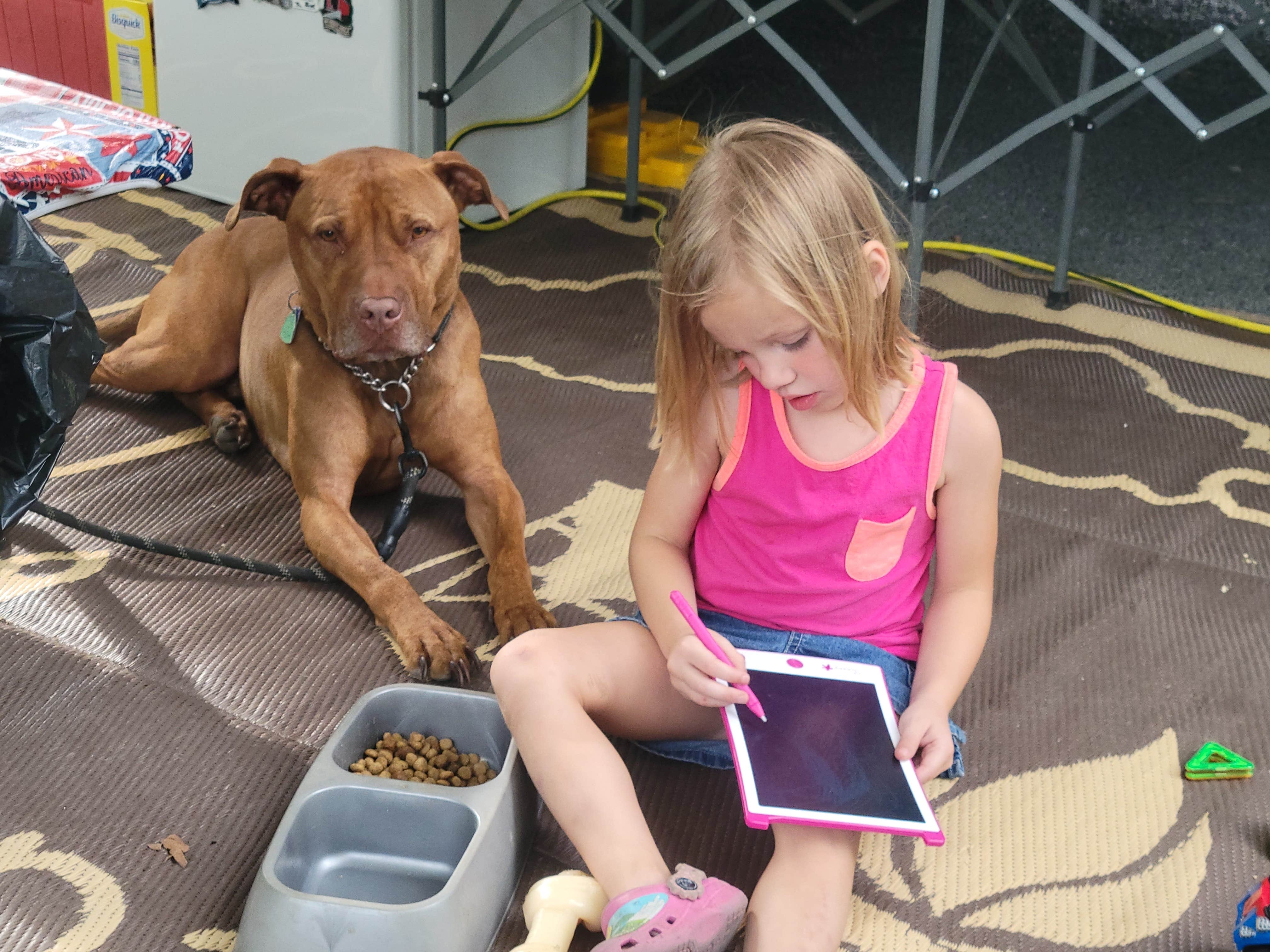 Jen R.'s photo of camping with pets at Robin Hill Campground near Reading, PA