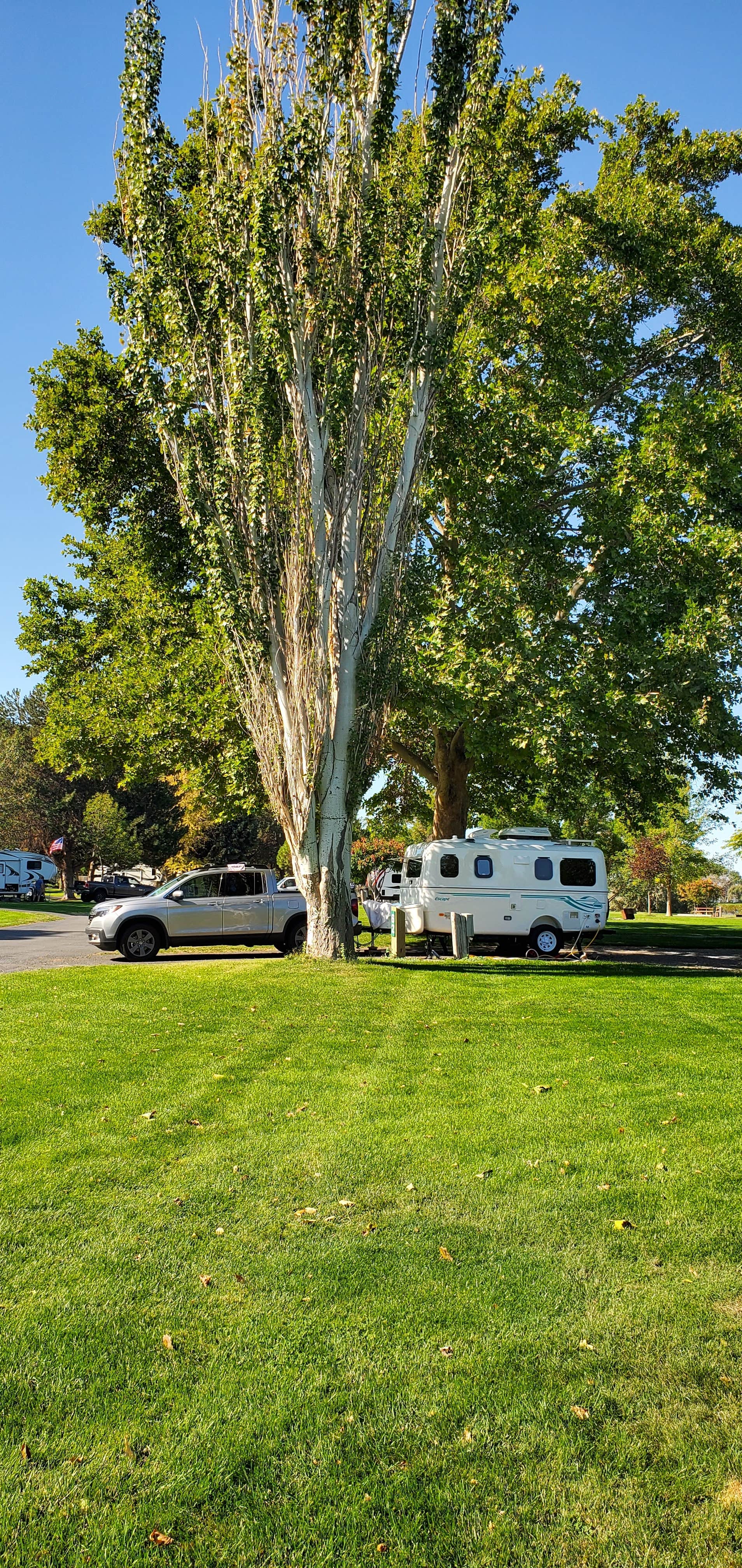 Terry P.'s photo of rv camping at Boardman Marina Park near Boardman, OR