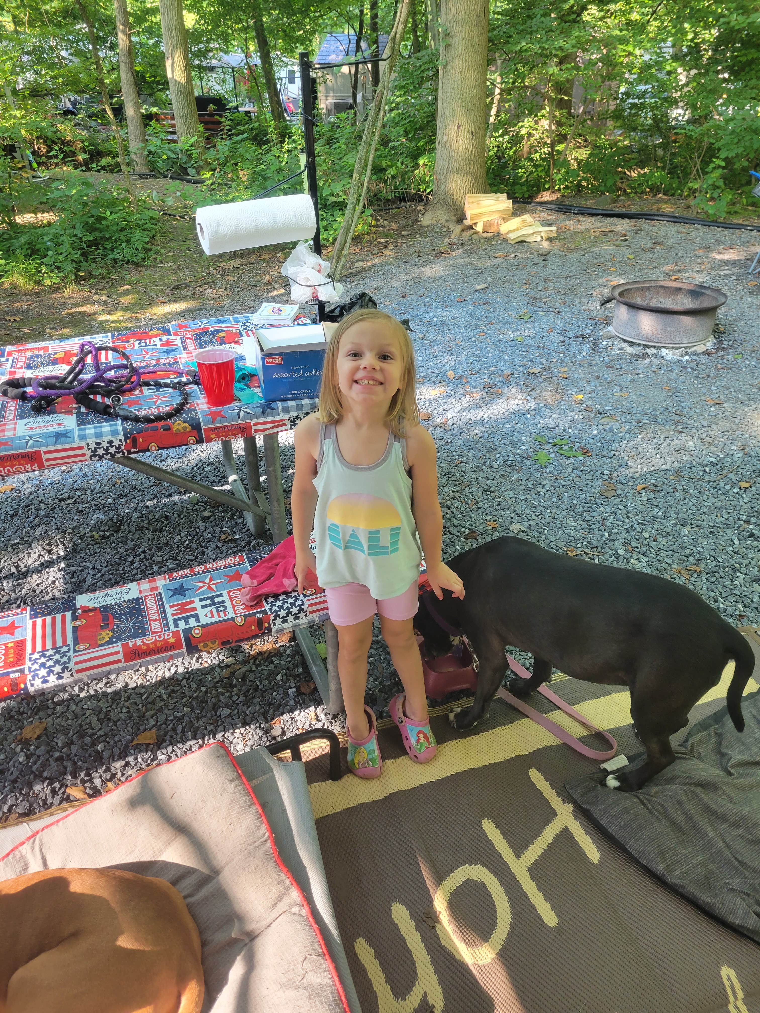 Camper submitted image from Cocalico Creek Campground - 1