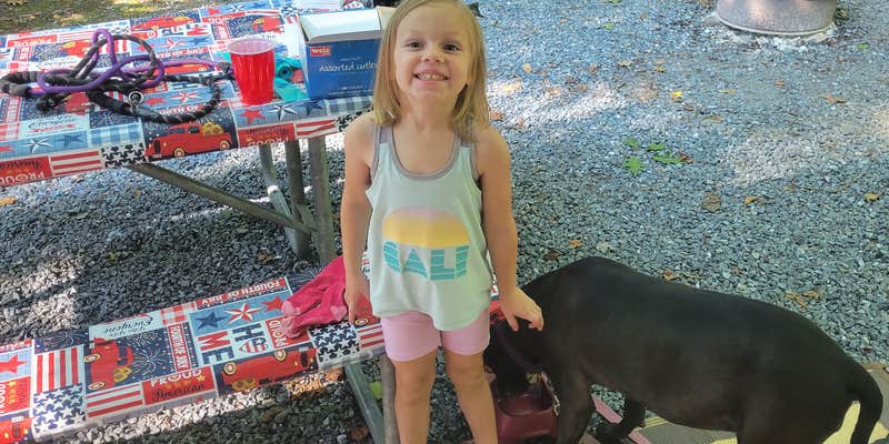 Camper submitted image from Cocalico Creek Campground