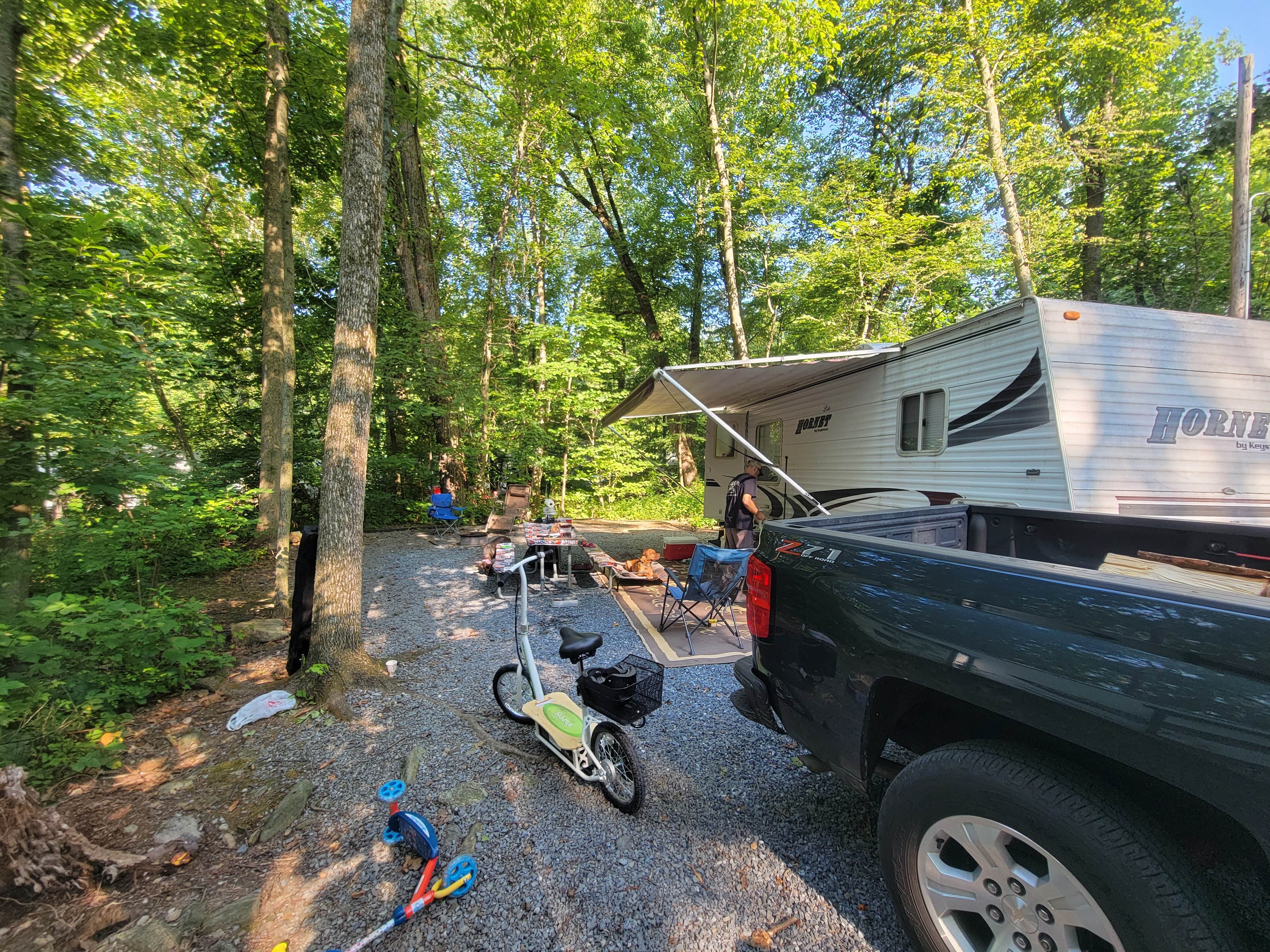 Camper submitted image from Cocalico Creek Campground - 2