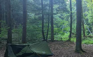 Skooma M.'s photo at Minister Creek Campground near Allegheny National Forest
