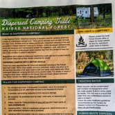 Review photo of Forest Road 241 - Dispersed Camping by Greg L., September 20, 2021