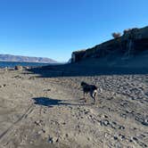 Review photo of Ginkgo Petrified Forest State Park Campground by Chelsea B., September 21, 2021