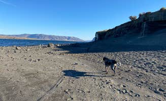 Chelsea B.'s photo of camping with pets at Ginkgo Petrified Forest State Park Campground in Washington