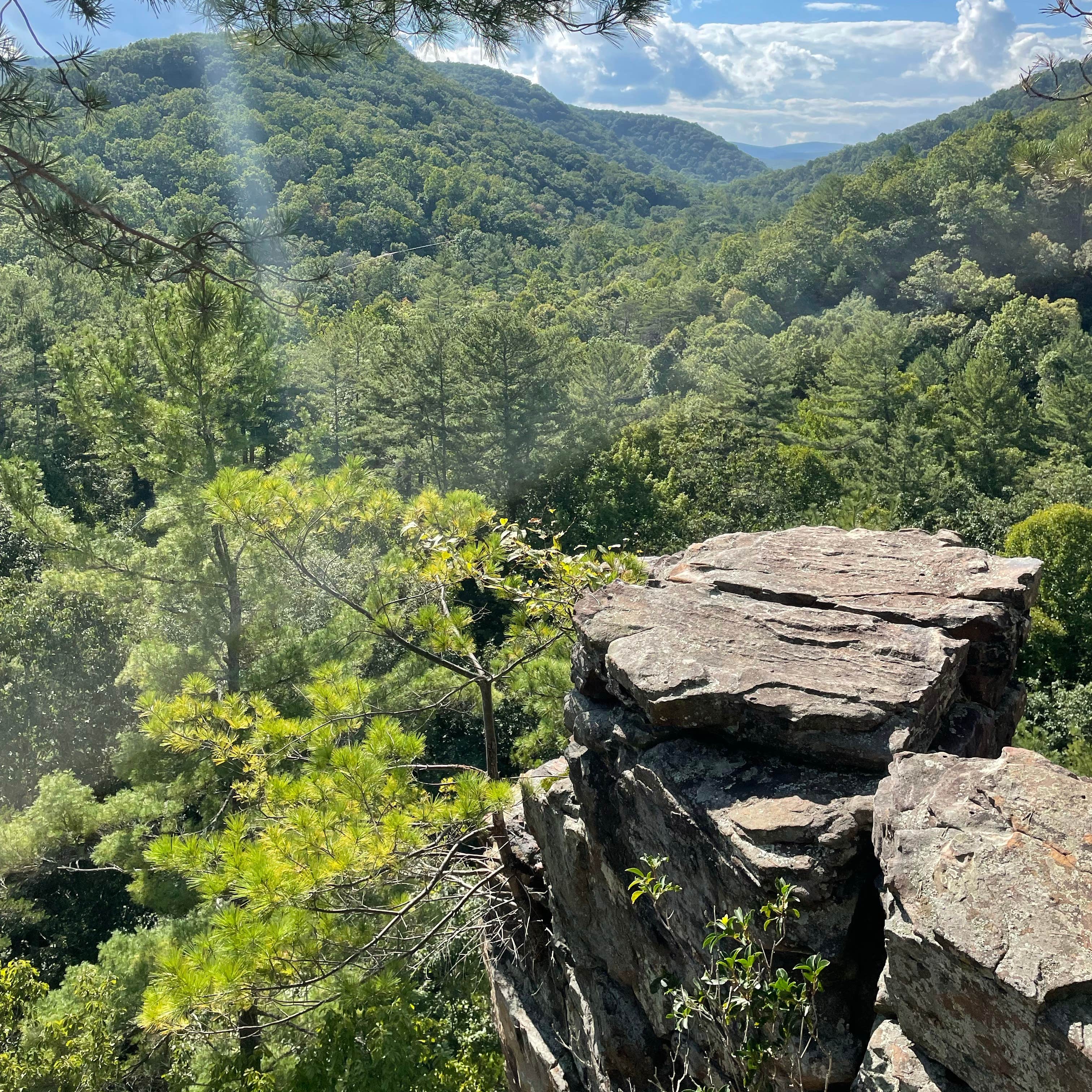 North River Campground | Mount Solon, Virginia