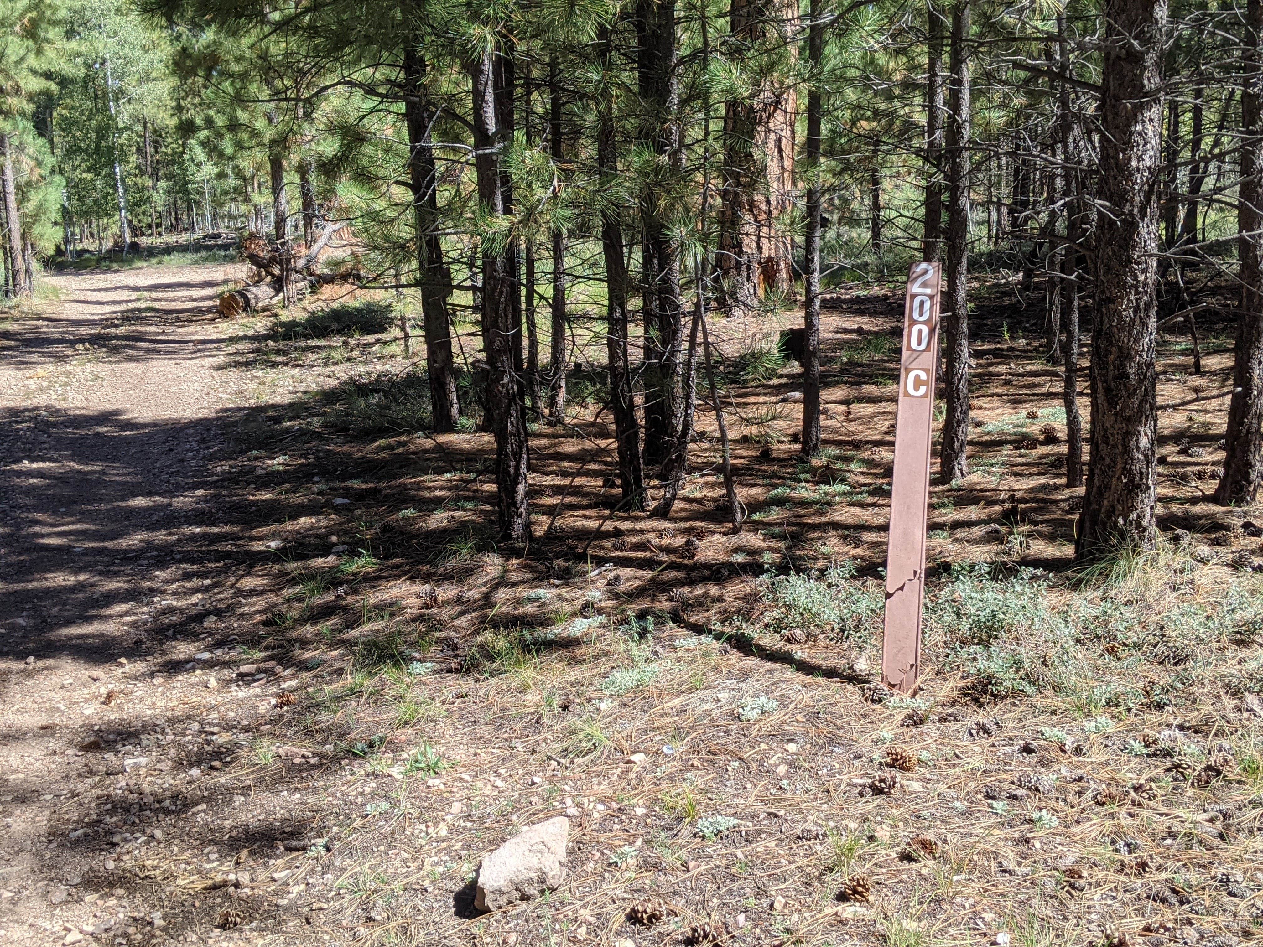 Camper-submitted photo at Forest Service Road #200 Dispersed Camping near Jacob Lake, AZ