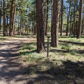 Review photo of Forest Service Road #200 Dispersed Camping by Greg L., September 21, 2021