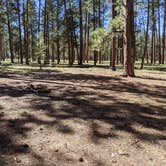 Review photo of Forest Service Road #200 Dispersed Camping by Greg L., September 21, 2021