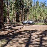 Review photo of Forest Service Road #200 Dispersed Camping by Greg L., September 21, 2021