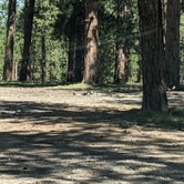 Review photo of Forest Service Road #200 Dispersed Camping by Greg L., September 21, 2021