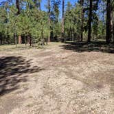 Review photo of Forest Service Road #200 Dispersed Camping by Greg L., September 21, 2021