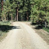 Review photo of Forest Service Road #200 Dispersed Camping by Greg L., September 21, 2021