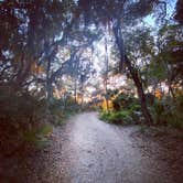 Review photo of Little Talbot Island State Park Campground by Jacquie W., September 21, 2021