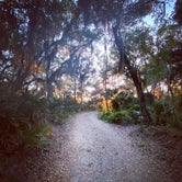 Review photo of Little Talbot Island State Park Campground by Jacquie W., September 21, 2021