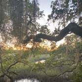 Review photo of Little Talbot Island State Park Campground by Jacquie W., September 21, 2021