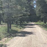 Review photo of Forest Service Road #205 Lower Dispersed Camping by Greg L., September 21, 2021