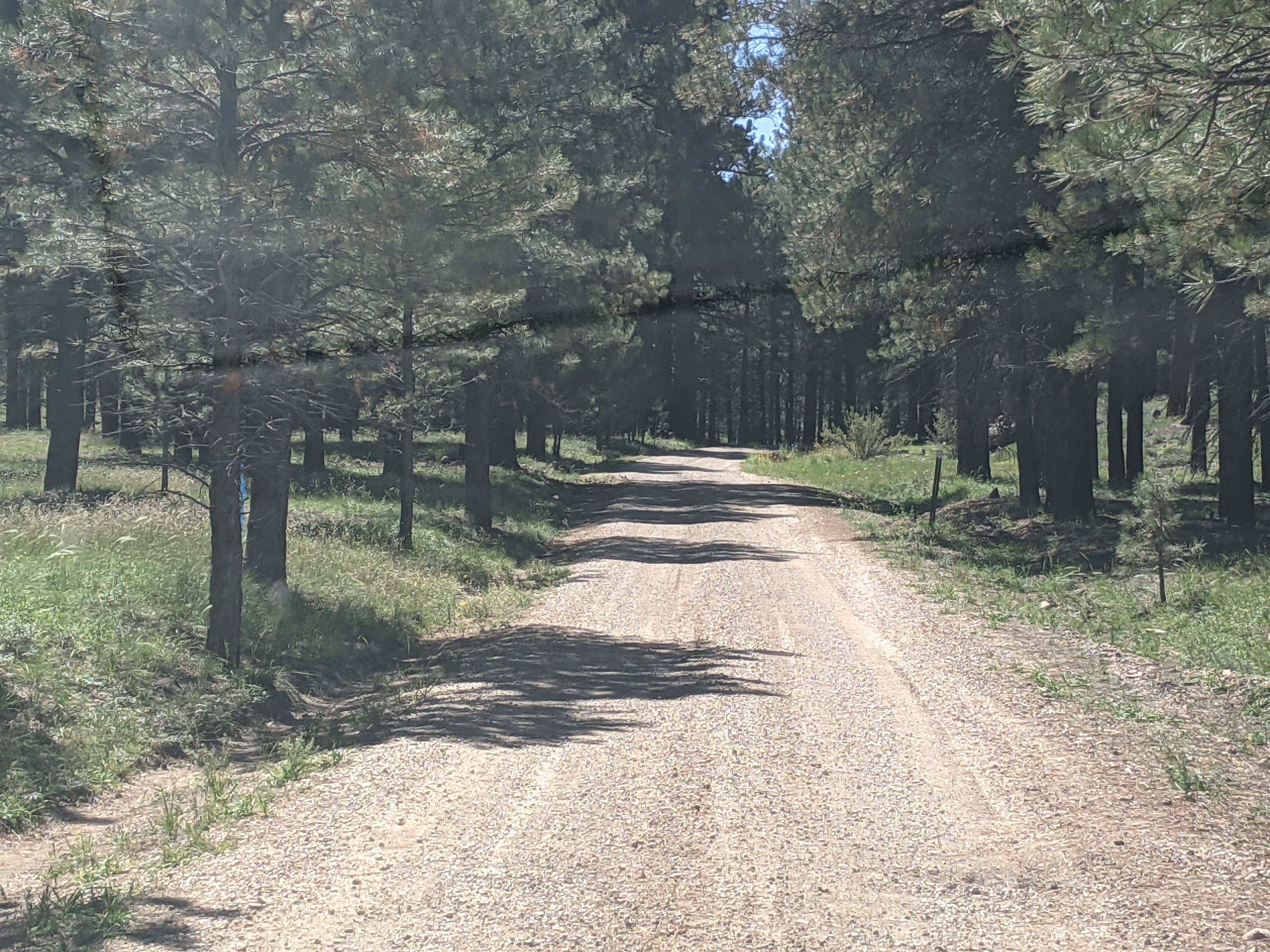 Camper submitted image from Forest Service Road #205 Lower Dispersed Camping - 3