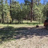 Review photo of Forest Service Road #205 Lower Dispersed Camping by Greg L., September 21, 2021