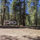 Review photo of Forest Service Road #205 Lower Dispersed Camping by Greg L., September 21, 2021