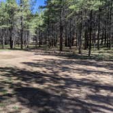 Review photo of Forest Service Road #205 Lower Dispersed Camping by Greg L., September 21, 2021