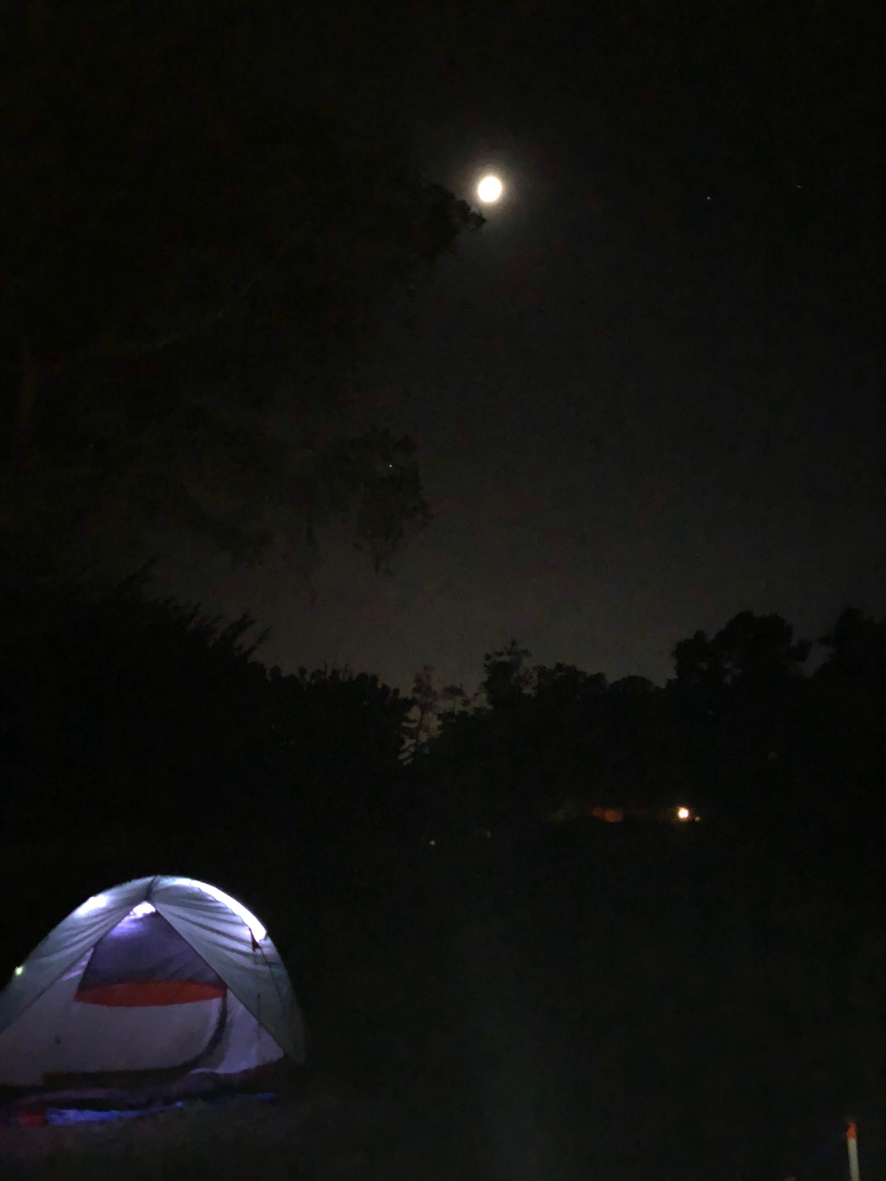 Darin D.'s photo at New Brighton State Beach Campground near Moss Landing, CA