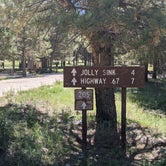 Review photo of Forest Service Road #205 Lower Dispersed Camping by Greg L., September 21, 2021