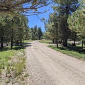 Review photo of Forest Service Road #205 Lower Dispersed Camping by Greg L., September 21, 2021