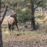 Review photo of Mather Campground — Grand Canyon National Park by Jim & Sarah S., September 21, 2021
