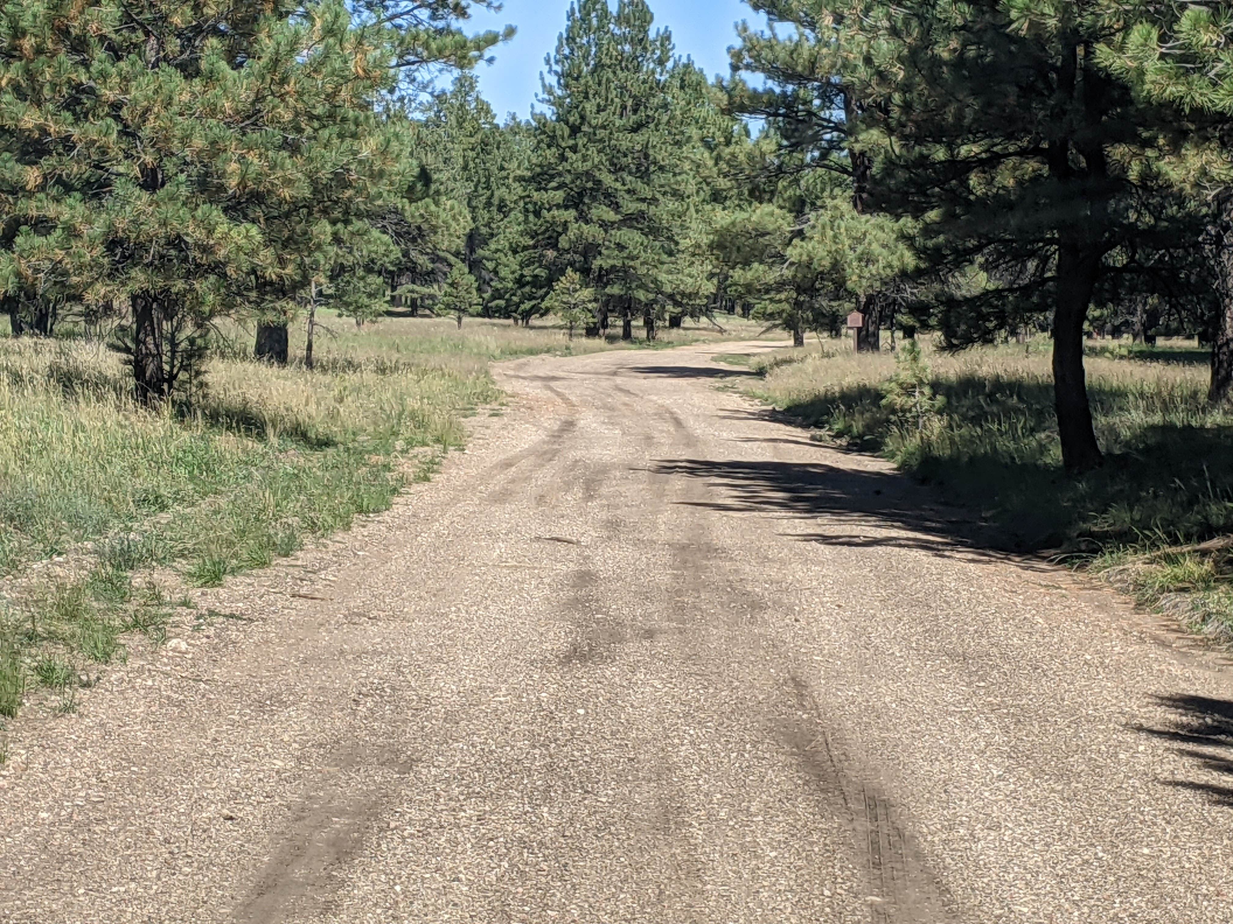 Camper submitted image from Forest Service #247 Road Dispersed Camping - 2