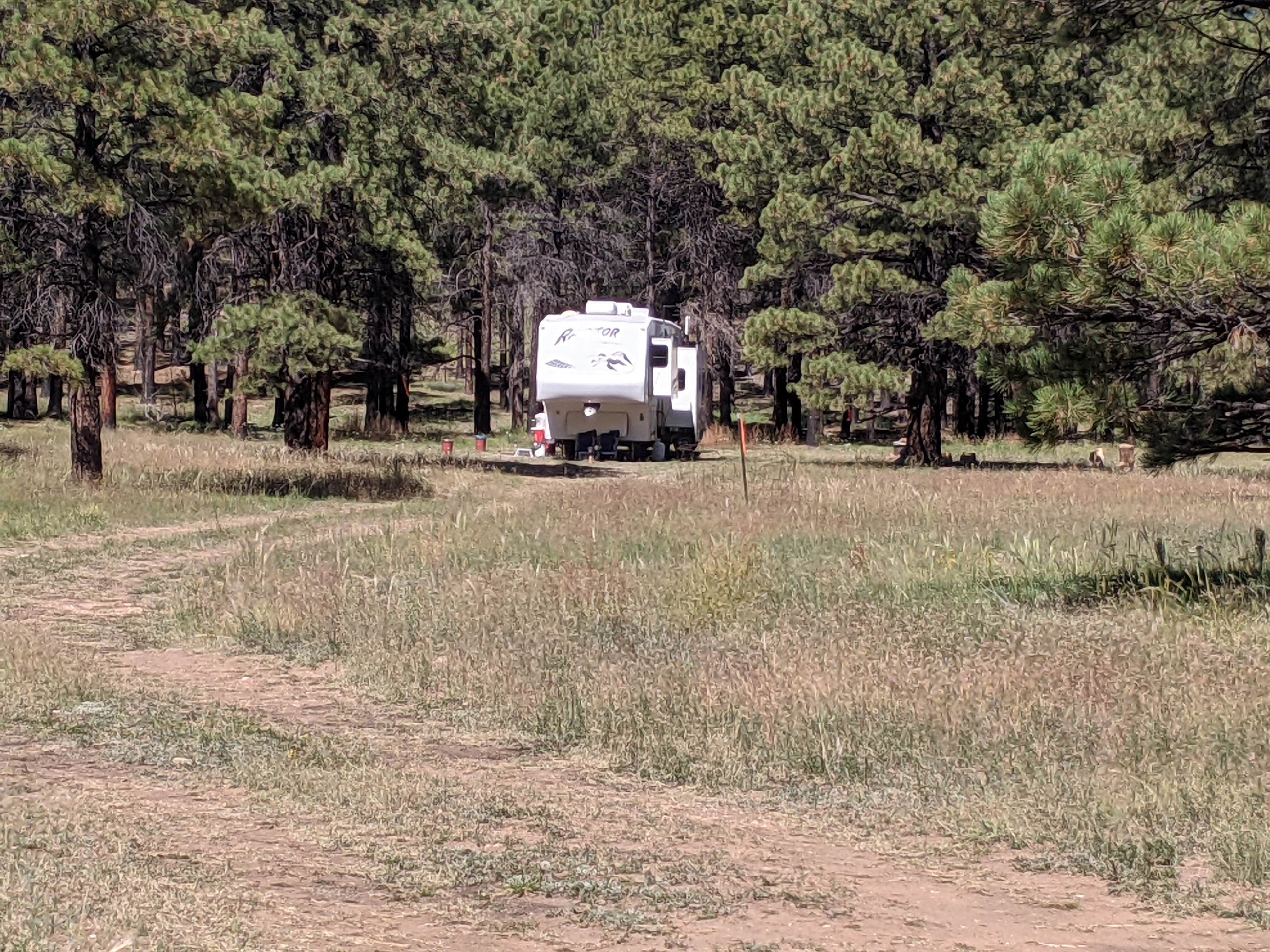 Camper submitted image from Forest Service #247 Road Dispersed Camping - 5