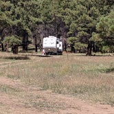 Review photo of Forest Service #247 Road Dispersed Camping by Greg L., September 21, 2021