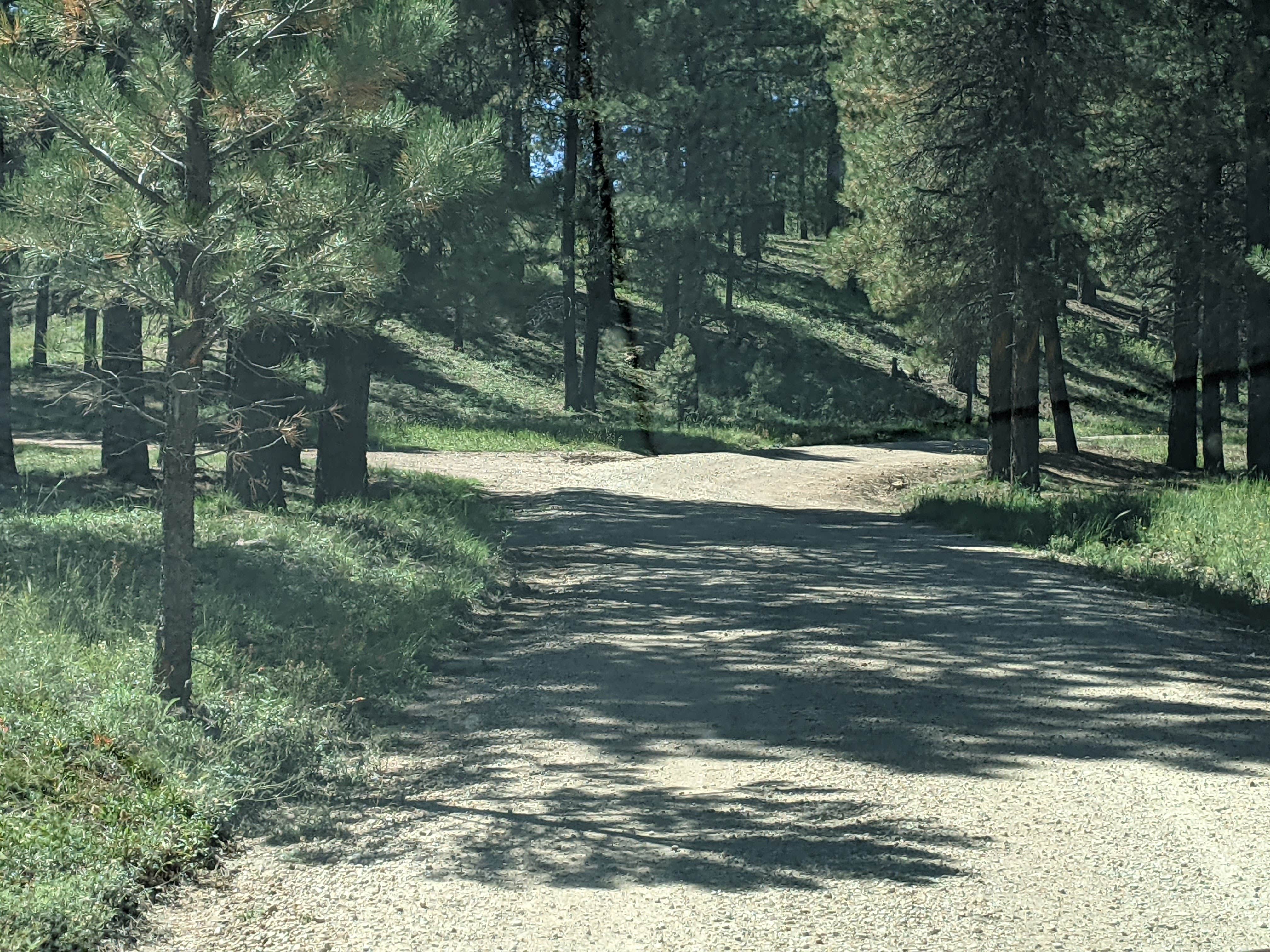 Camper submitted image from Forest Service #247 Road Dispersed Camping - 5