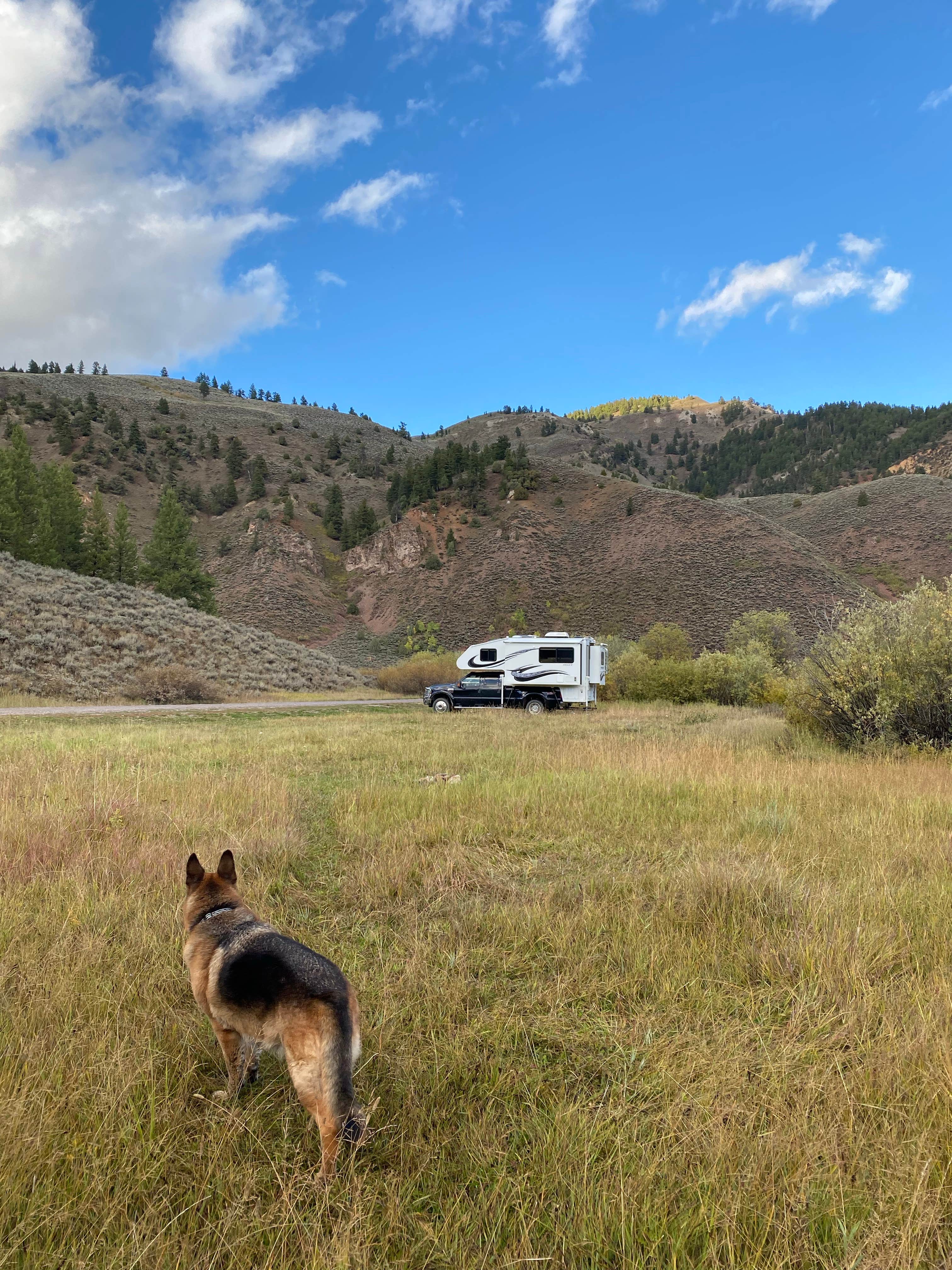 Lisa A.'s photo of camping with pets at Fall Creek Road - Dispersed near Jackson, WY