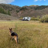 Review photo of Fall Creek Road - Dispersed by Lisa A., September 21, 2021