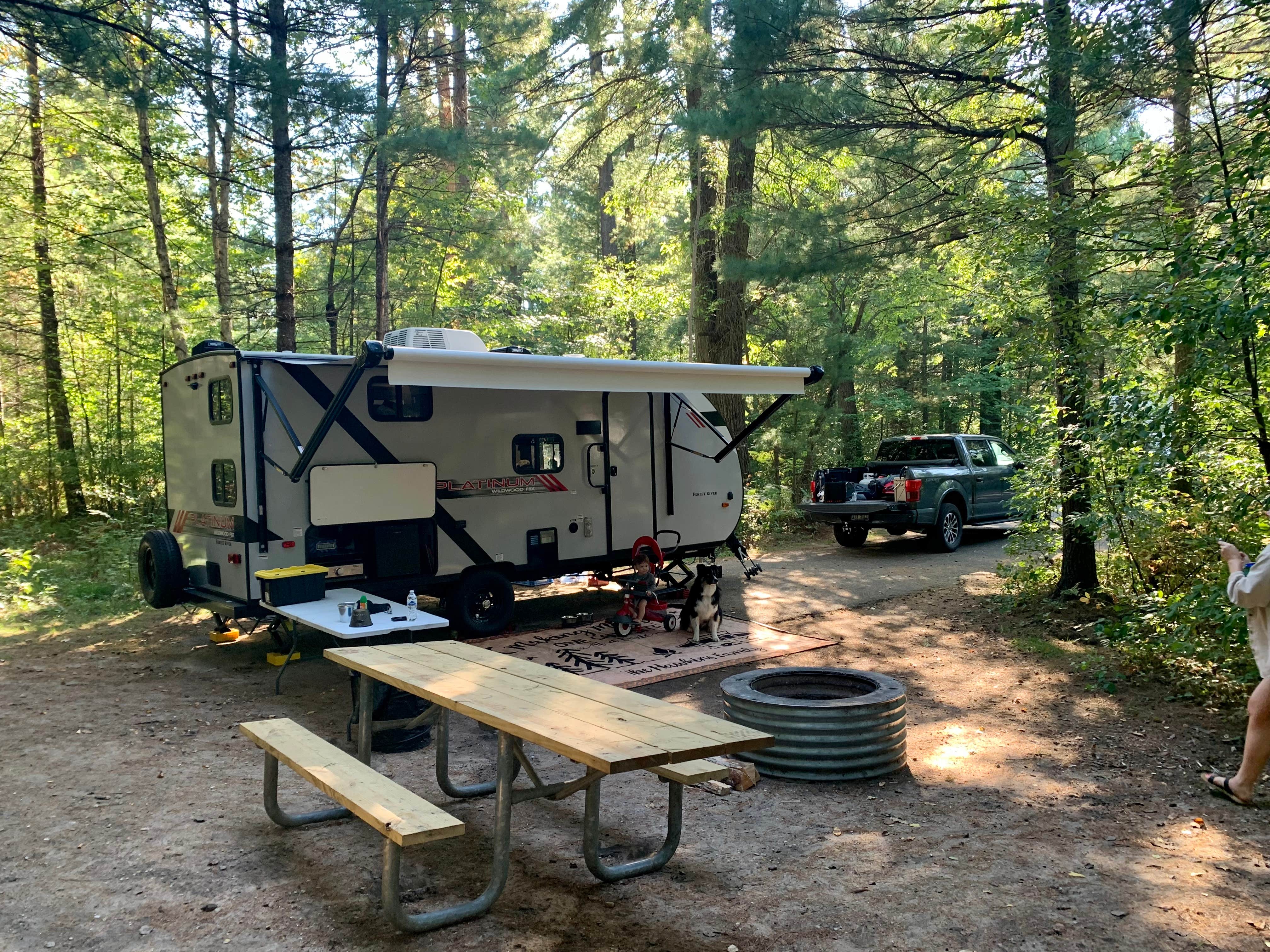 Camper submitted image from Hartwick Pines State Park Campground - 4