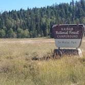 Review photo of DeMotte National Forest Campground by Oscar D., September 21, 2021