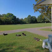 Review photo of Dogwood Drive - Lake Eufaula State Park by Danny K., September 22, 2021