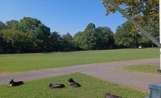 Danny K.'s photo of camping with pets at Dogwood Campground — Lake Eufula State Park near Eufaula Lake