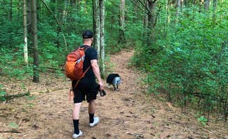 Alex H.'s photo of camping with pets at McGinnis Lake Modern Campground — Holly Recreation Area in Michigan