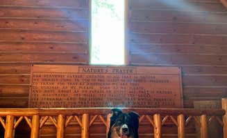 Alex H.'s photo of camping with pets at Hartwick Pines State Park Campground near Higgins Lake, MI