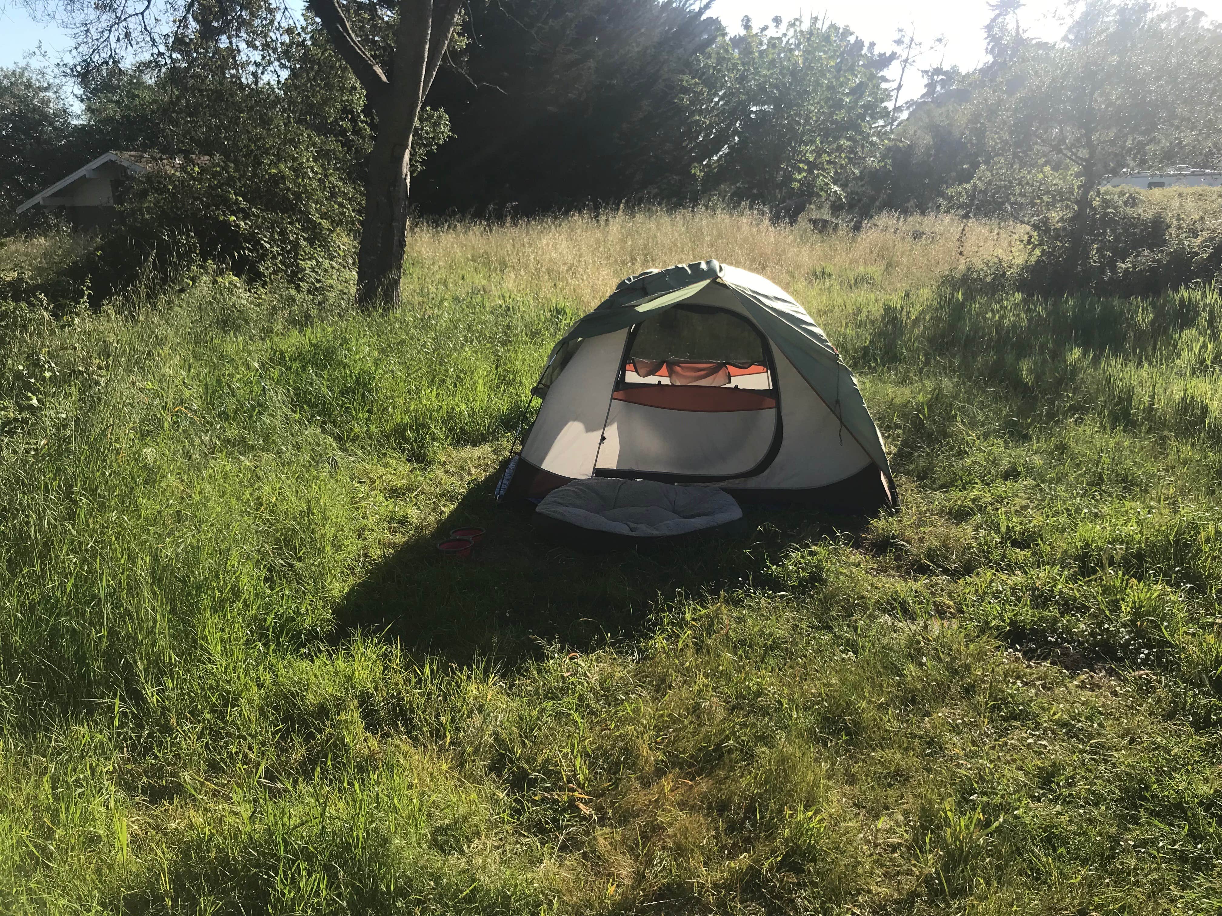 Darin D.'s photo at New Brighton State Beach Campground near Freedom, CA
