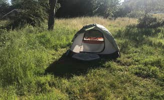 Darin D.'s photo at New Brighton State Beach Campground near Davenport, CA